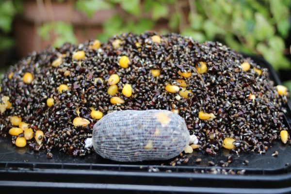 Hemp Buckwheat & Maize